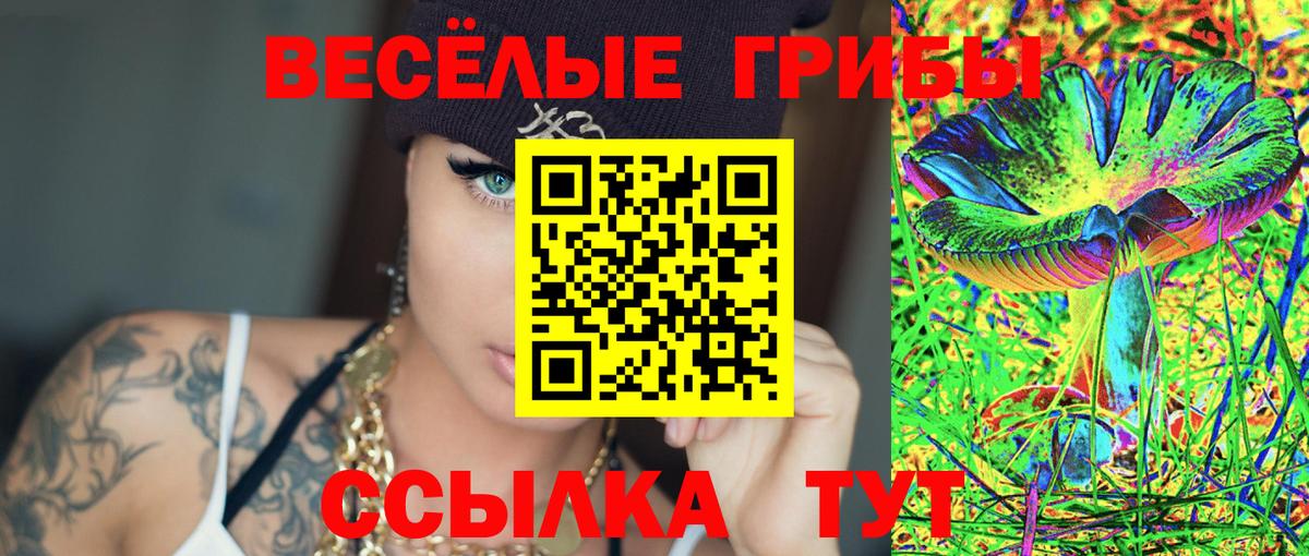 Ипатово  Псилоцибиновые грибы Cubensis  Вход с VPN 