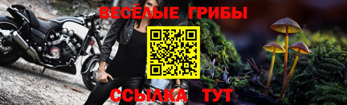 Галлюциногенные грибы Magic Shrooms Ипатово